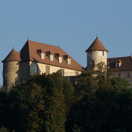 La Tour De Quinsonnas Bed and Breakfast Serezin-de-la-Tour Buitenkant foto