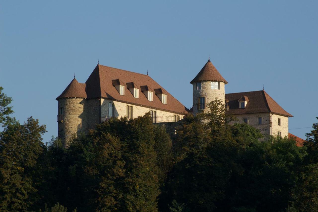 La Tour De Quinsonnas Bed and Breakfast Serezin-de-la-Tour Buitenkant foto