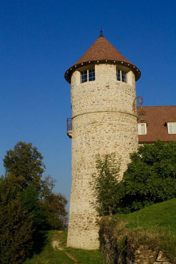 La Tour De Quinsonnas Bed and Breakfast Serezin-de-la-Tour Buitenkant foto